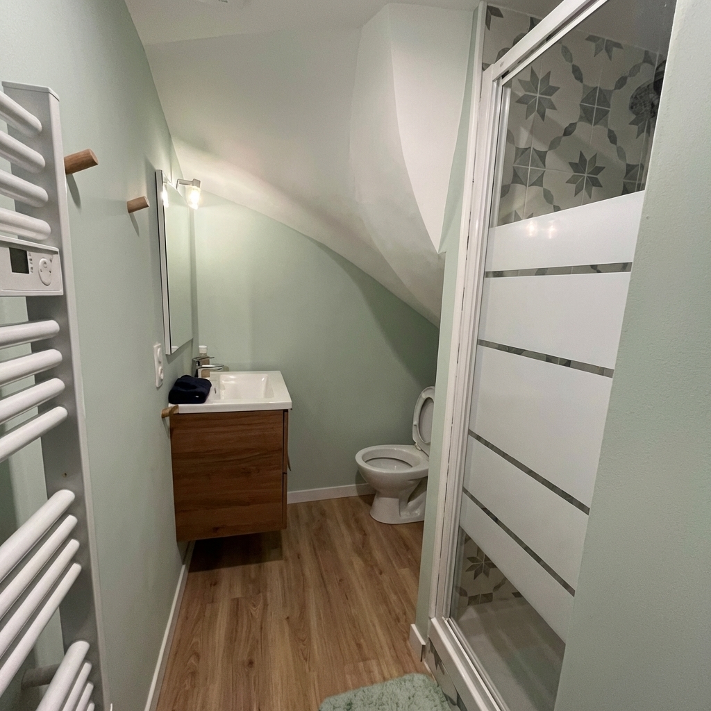 Petite salle de bain rénovée sous combles avec douche et WC